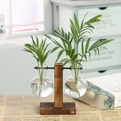 Hydroponic Glass Plant Terrarium Stand