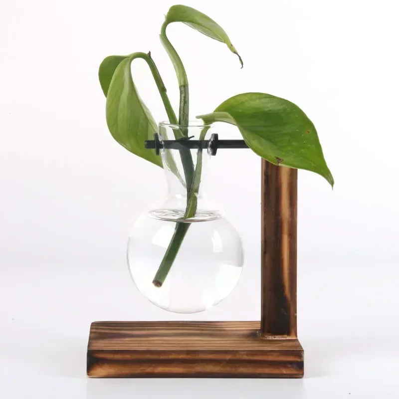 Hydroponic Glass Plant Terrarium Stand