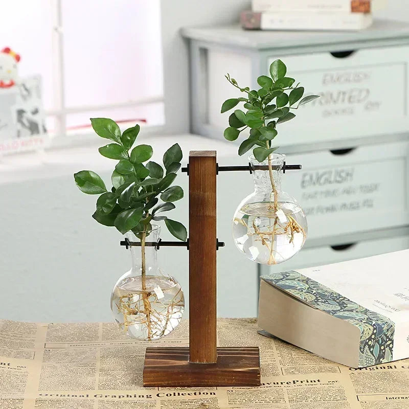 Hydroponic Glass Plant Terrarium Stand